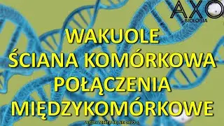 11. Nieplazmatyczne składniki cytoplazmy. Połączenia międzykomórkowe