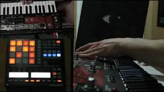 Native Instruments Maschine  + Roland 5H-201