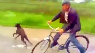 Приколы смех для вас 10 ДЕД СОБАКА И БАТОН СУКА