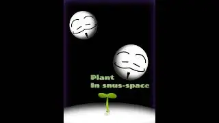 Plant in snus-space