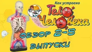 Как устроено тело человека. DeAgostini | 2-5 выпуски