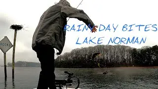Rainy Day @ Lake Norman (tried a new bait)