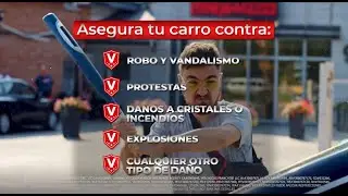 Asegura tu auto contra vandalismo | Veronica's Insurance