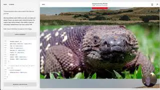 Squarespace 7.1 — How to make Uncropped Background Video Section with 16:9 aspect ratio