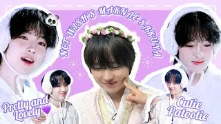 Sakuya's life as Nct Wish's Maknae