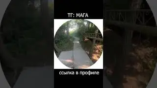 Такое только у Маги в ТГ... #смех #шутка #юмор #кринж #веселье #прикол