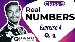 Real Numbers 