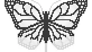 Sandbox- Georgeous Butterfly- Time Lapse
