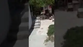 arapca komik mikail dede