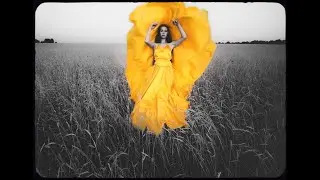 A Lady Bug - Fashion Film