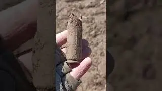 Эхо войны! Гильза авиационной пушки😱#shorts #победа