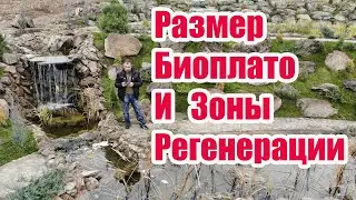 Размер Биоплато и Зоны Регенерации