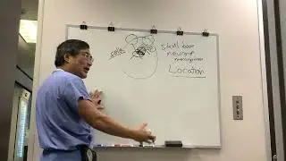 Approach to Skull Based Meningioma