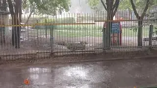 СИМУЛЯТОР КРЫМА: ЧЕБОКСАРЫ