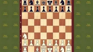 Chess Opening Book Durkin's Attack Opening