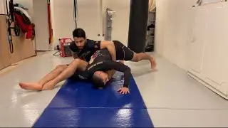 DEFENSES OF THE SHOULDER