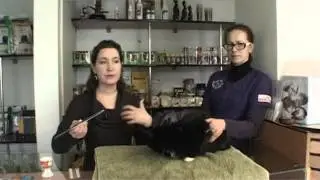 Birute Šalnaitė - Kaip suduoti katinui vaistus