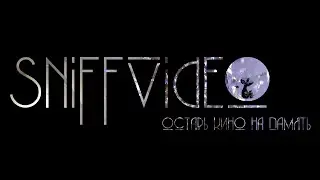 Sniff Video