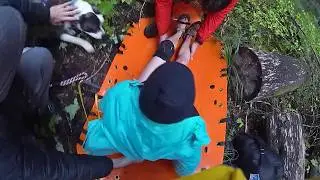Dramatic Rescue! Coast Guard Saves Injured Hiker and Dog