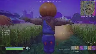 This is what a FORTNITE lobby looks like when you have a disability... (Still sweaty tho)