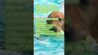 Canine Medical Conditions to Consider with Hydrotherapy Tanya Grantham, BVSc CCRP CVA CCBW CertSCVA