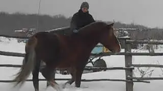 Январь 2017