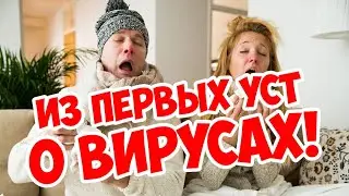 Из первых уст о вирусах!