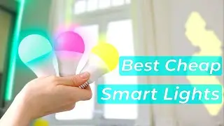 Best Cheap Smart Lights 2021 | Teckin RGB Smart Bulbs