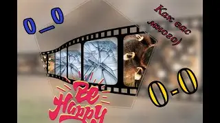 Будни с пауками/Кормежка пауков/Много пауков)