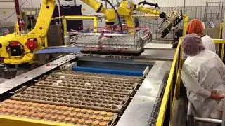 Robotic Muffin Depanning Machine