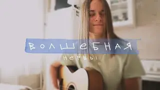 Нервы - волшебная (cover by anя)