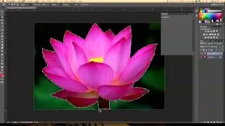 Photoshop Tutorial #2: Creating a Matte Image