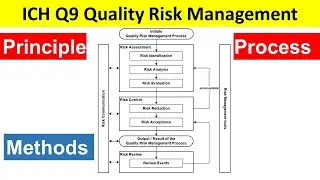ICH Q9 Quality Risk Management: Principle, Process, Methods