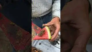 Honeycomb On Watermelon! 🍉🍯 #shorts