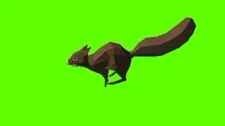 Green screen squirrel video | Squirrel running green screen