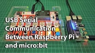 USB Serial Communication Between Raspberry Pi and Microbit