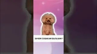 Полный ролик уже не канале 👉🏽 https://youtu.be/mnXyAjMCFpY