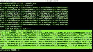 Linux ssh passwordless auth public key authentication