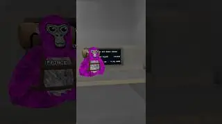 I spent $4000 on Gorilla Tag! 