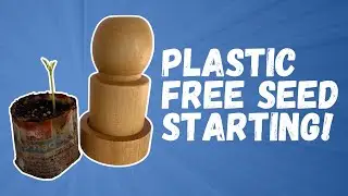 Making PAPER POTS for plastic free seed starting & growing moringa