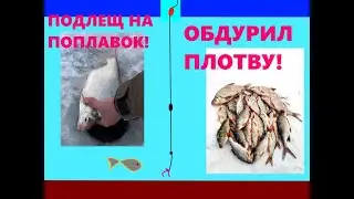 Пробурил одну лунку наловил подлещиков плотва вырывала удочку.