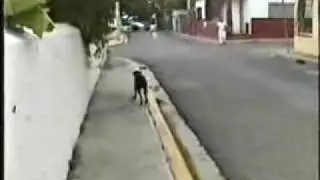 callejero (alberto cortez)