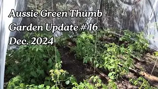 Nathan's Garden Update - carrot harvesting, kale and slugs, tomato growth