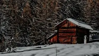 Winter Storm: Snow and Wind Sounds at a Wooden Cabin - 30 Minutes of Natural Sleep Sounds
