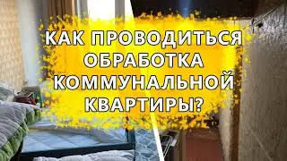 Почему дезинфектор не дал гарантию на выведение клопов в коммунальной квартире. Проясняем ситуацию.