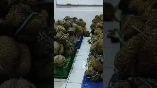 pesta duren dulu, emang boleh?