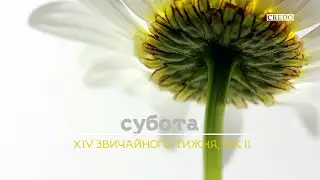 Боже провидіння випливає з Божої любові