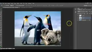 Adobe Photoshop CS6 Ders 32 Resimden Ayrı Layer Kopyalama