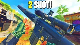 the 2 SHOT DM 10 Class in Black Ops 6! 😱 (MAX Level DM 10 Class Setup)