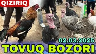 QIZIRIQ JAXON BOZORIDAN TOVUQ NARXLARI